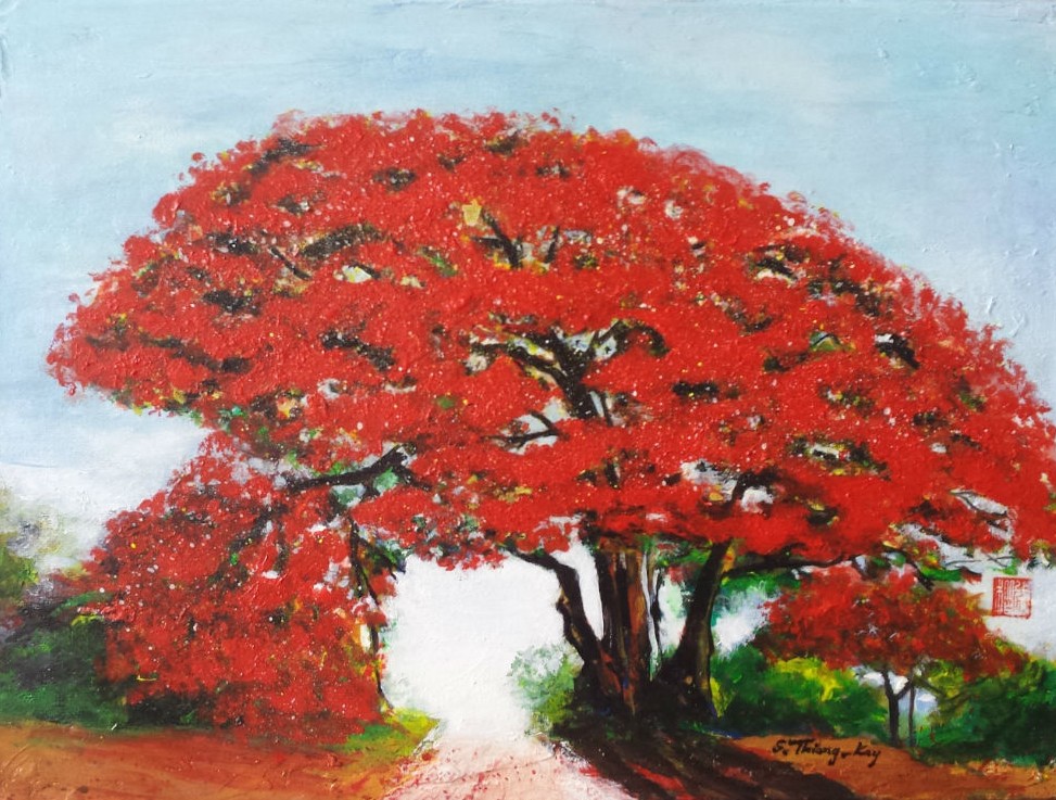 " Arbre parasol "
