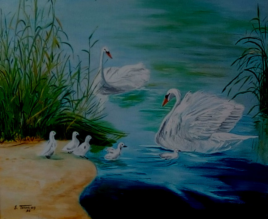 " Cygne et cygneaux "